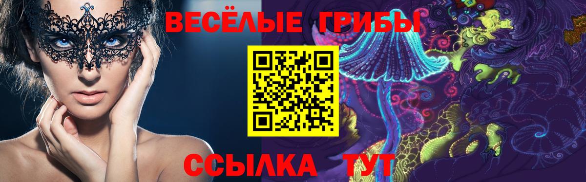 Псилоцибиновые грибы GOLDEN TEACHER  Вход с VPN  где можно купить   Кыштым 